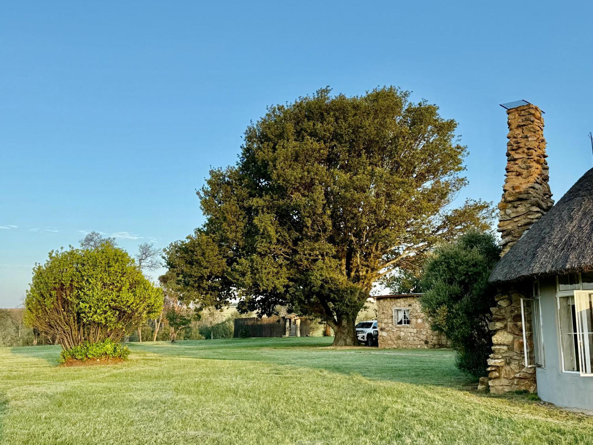 Uitzicht Private Nature Reserve And Lodge Fouriesburg Rom bilde